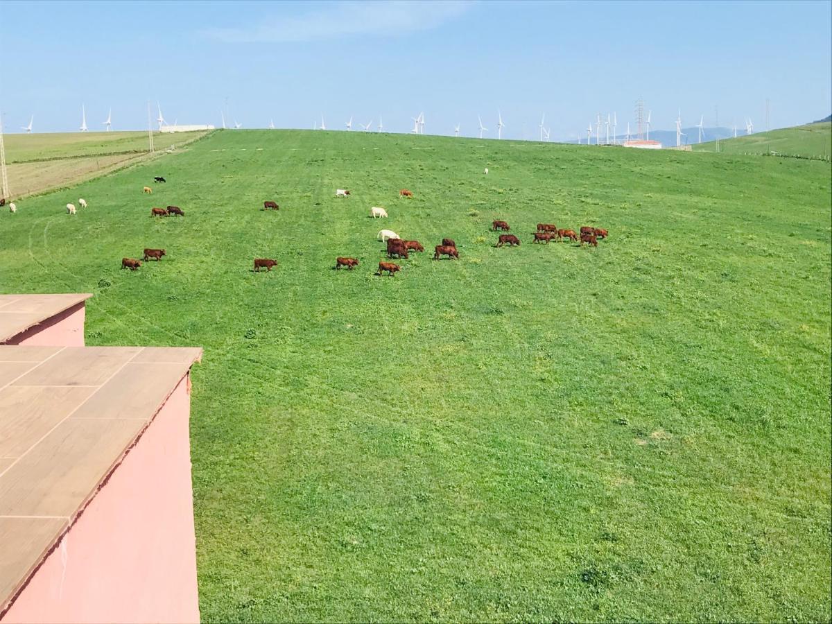 Apartament Bonito Atico Con Vistas Y Barbacoa Zahara de los Atunes